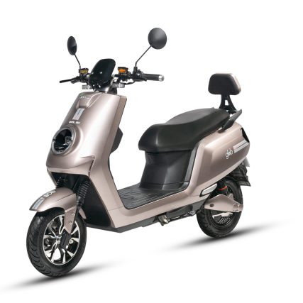 Joy Ebike Globe Version in Brown colour